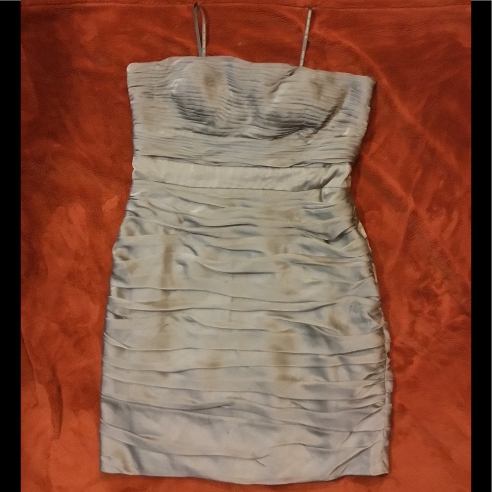Silver Monique Lhuillier Dress.